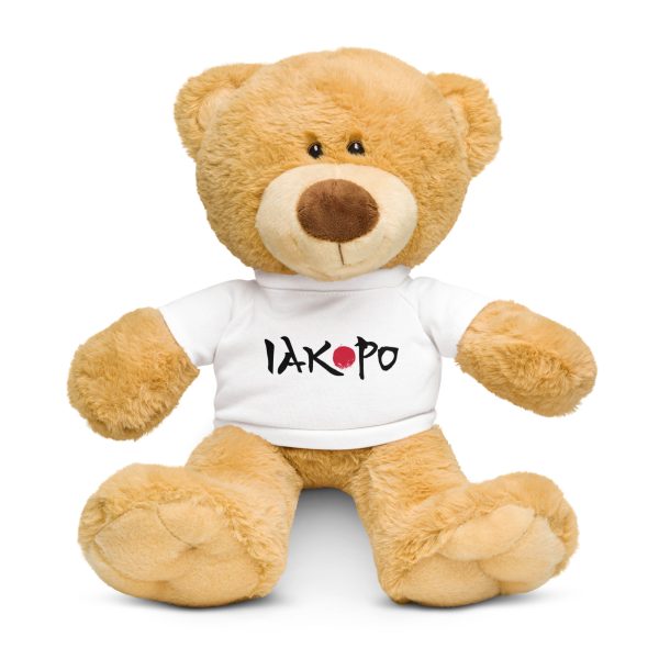 IAKOPO Teddy bear with a t-shirt